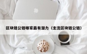 区块链公链哪家最有潜力（主流区块链公链）