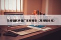 马蹄链区块链厂家有哪些（马蹄链主网）