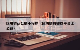 区块链pi公链小程序(区块链有哪些平台上公链)