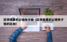 区块链里的公链和子链(区块链里的公链和子链的区别)