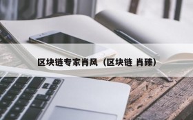 区块链专家肖风(区块链 肖臻)