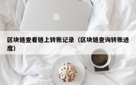 区块链查看链上转账记录(区块链查询转账进度)