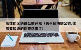 高性能区块链公链开发(关于区块链公链,你需要知道的都在这里了)