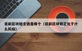 目前区块链主链是哪个(目前区块链正处于什么阶段)
