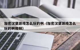 加密汉堡游戏怎么玩的啊(加密汉堡游戏怎么玩的啊视频)