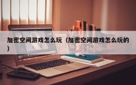 加密空间游戏怎么玩（加密空间游戏怎么玩的）