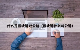 什么是区块链双公链(区块链什么叫公链)