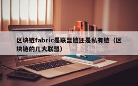 区块链fabric是联盟链还是私有链（区块链的几大联盟）