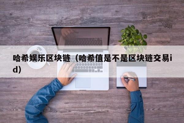 哈希娱乐区块链（哈希值是不是区块链交易id）