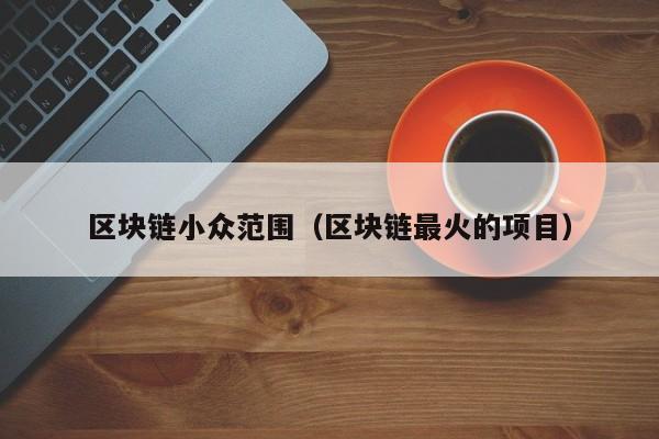 区块链小众范围（区块链最火的项目）
