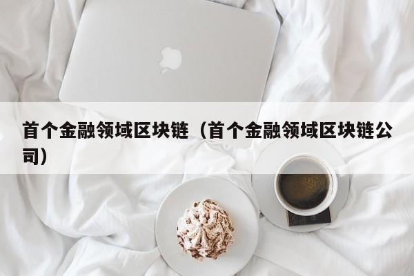 首个金融领域区块链（首个金融领域区块链公司）