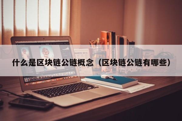 什么是区块链公链概念（区块链公链有哪些）
