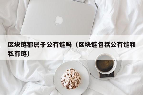 区块链都属于公有链吗（区块链包括公有链和私有链）