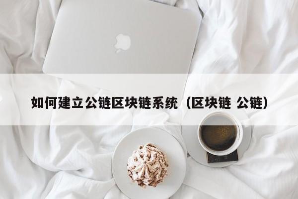 如何建立公链区块链系统（区块链 公链）