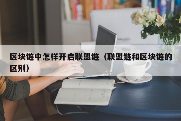 区块链中怎样开启联盟链（联盟链和区块链的区别）