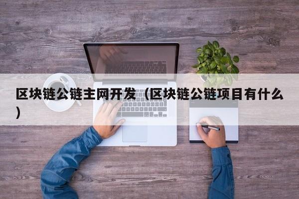 区块链公链主网开发（区块链公链项目有什么）