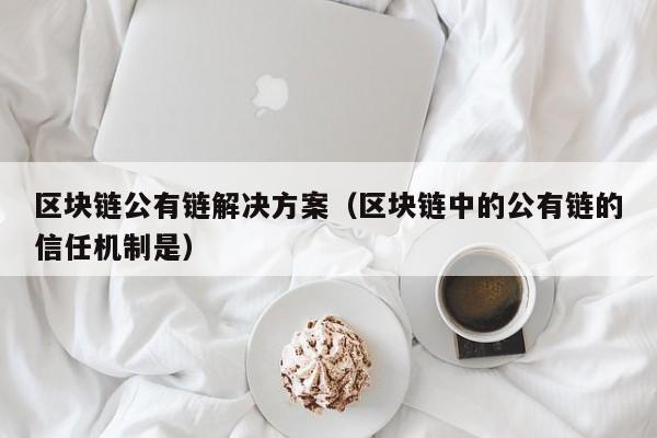 区块链公有链解决方案（区块链中的公有链的信任机制是）