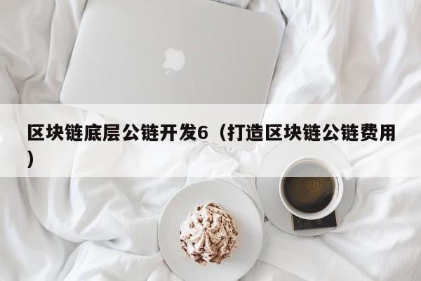 区块链底层公链开发6（打造区块链公链费用）