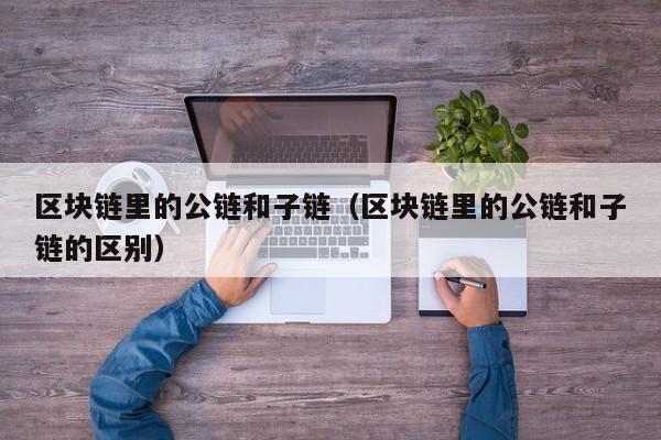 区块链里的公链和子链（区块链里的公链和子链的区别）