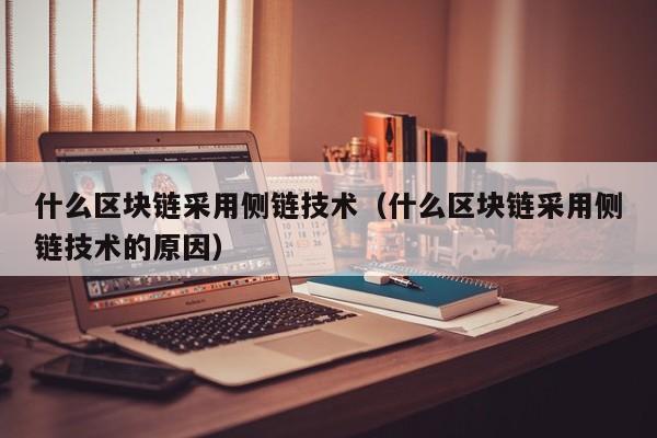 什么区块链采用侧链技术（什么区块链采用侧链技术的原因）