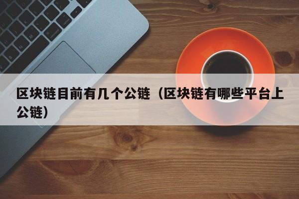 区块链目前有几个公链（区块链有哪些平台上公链）